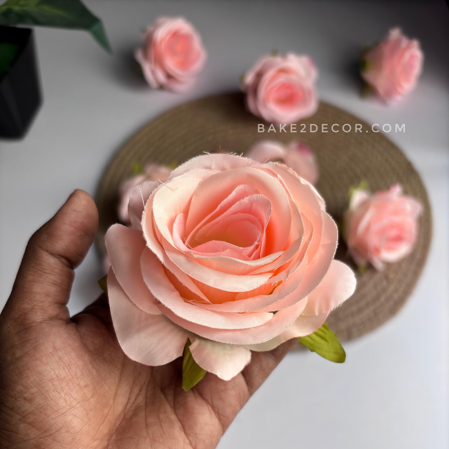 Rose  - Single Pcs - RS02