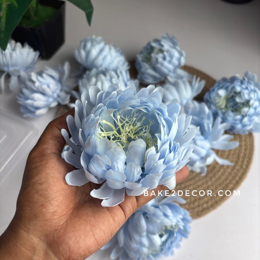 Daicy Flower  - Single Pcs - DA02