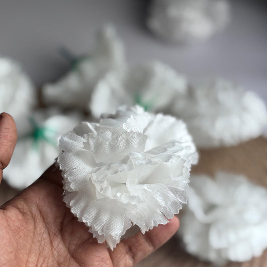 AF7  Carnation - White